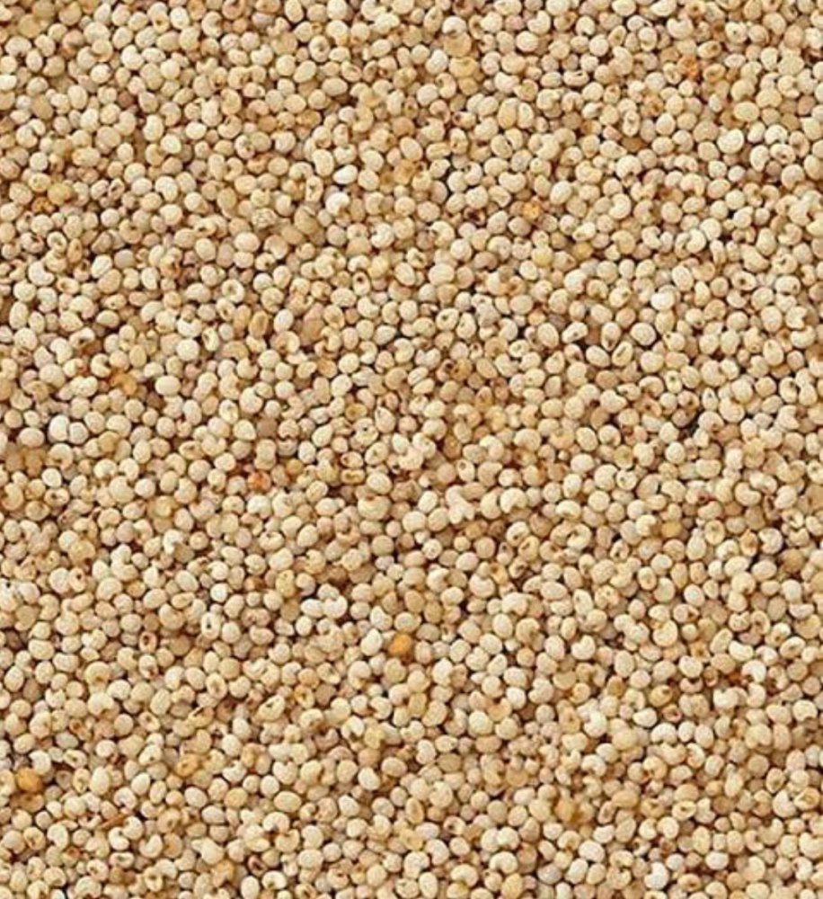 Poppy Seed पोस्तादाना खसखस