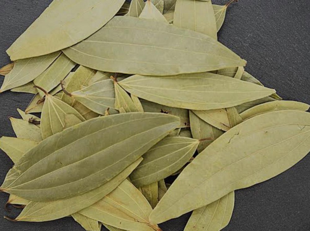 Bay Leaf तेज पत्ता