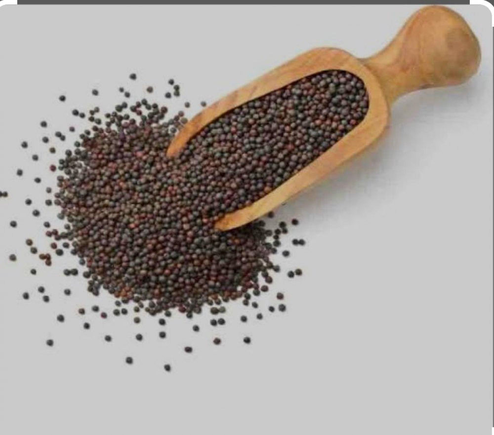 Mustard Seed Big Black बड़ी सरसों