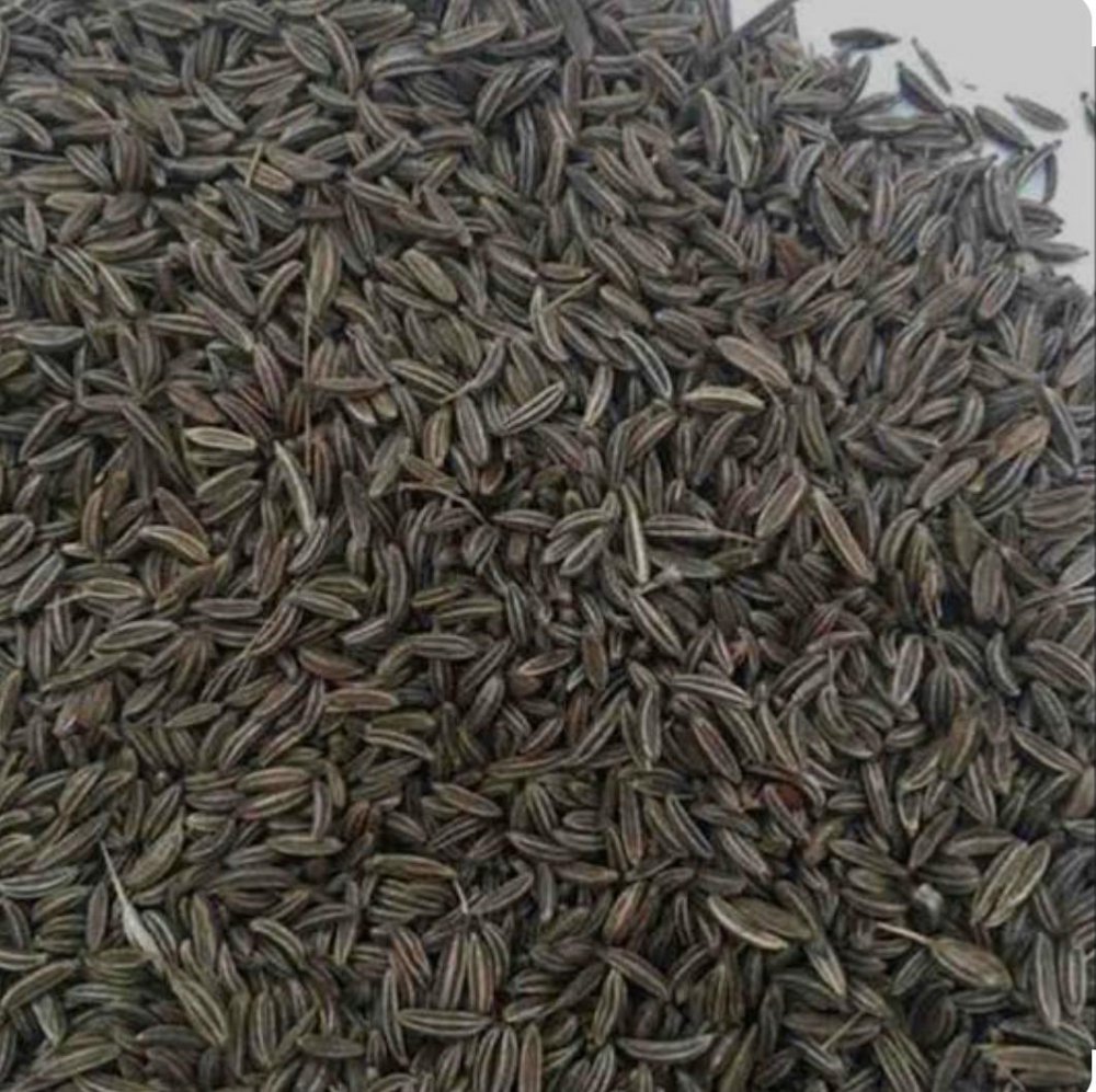 Black Cumin Seed शाहजीरा