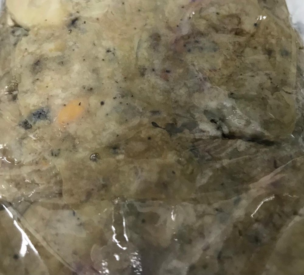 Asafoetida Heeng हींग