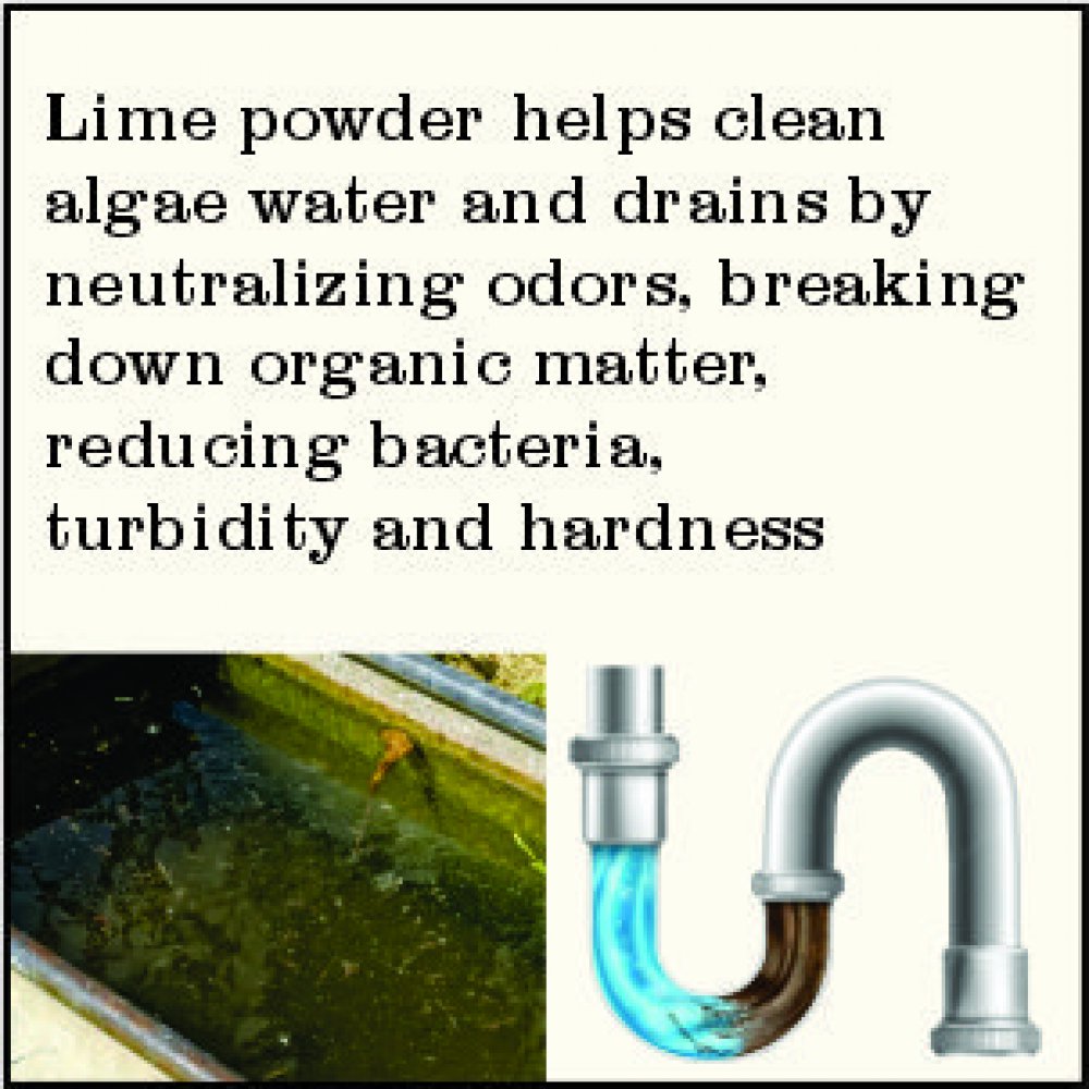 Lime Powder चूना पाउडर