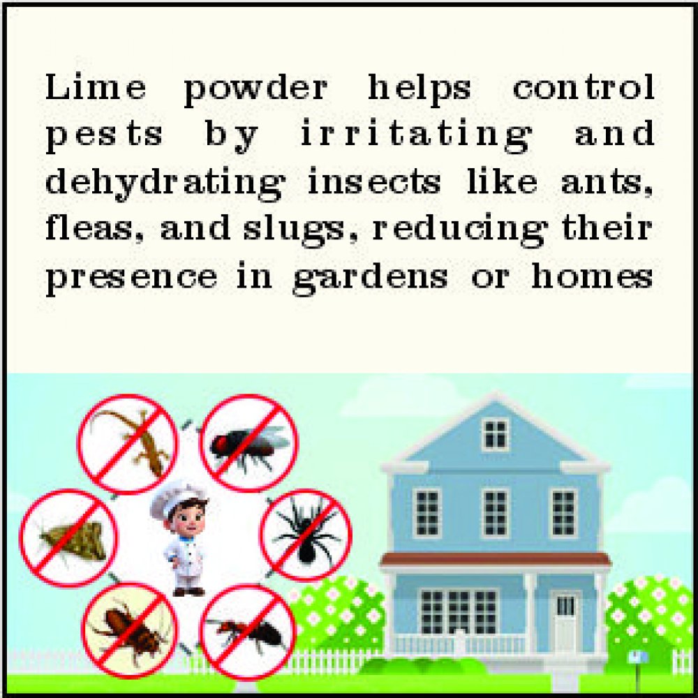 Lime Powder चूना पाउडर
